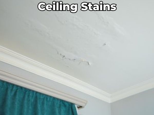 Interior ceiling with visible water stains, bubbling paint, and peeling plaster — signs of a roof leak causing moisture intrusion and interior damage.