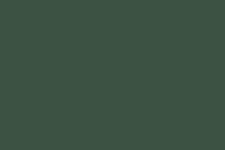 Forest Green exterior window frame color swatch — a deep, natural green shade that blends seamlessly with wooded landscapes and rustic home designs, adding rich contrast to lighter siding colors.