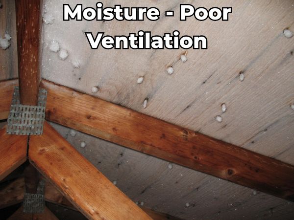 Attic roof decking with visible moisture buildup and mold spots caused by poor ventilation — a warning sign of potential structural damage and energy efficiency loss.