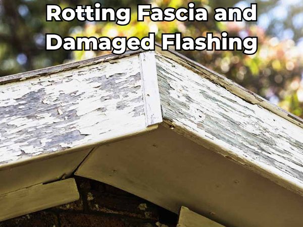 "Close-up of rotting fascia boards with peeling paint and damaged roof flashing — signs of water damage and poor drainage that can lead to structural deterioration.