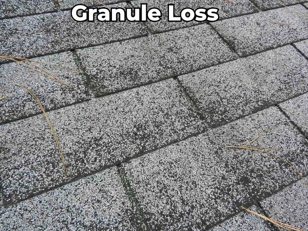 "Close-up of asphalt shingles showing severe granule loss and surface wear, a common sign of aging roofs that may need replacement to maintain waterproof protection and energy efficiency.